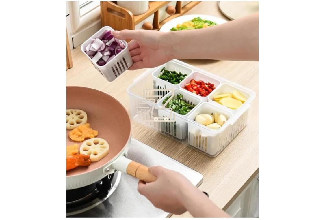 Roxique 6-Compartment Refrigerator Food Storage Container with Transparent Lid