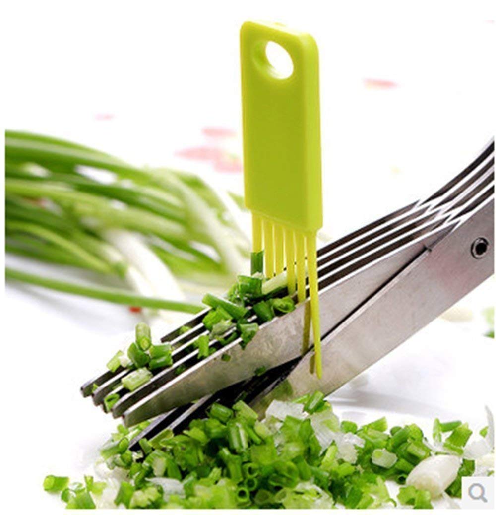 Stainless Steel 5-Blade Herb Scissors